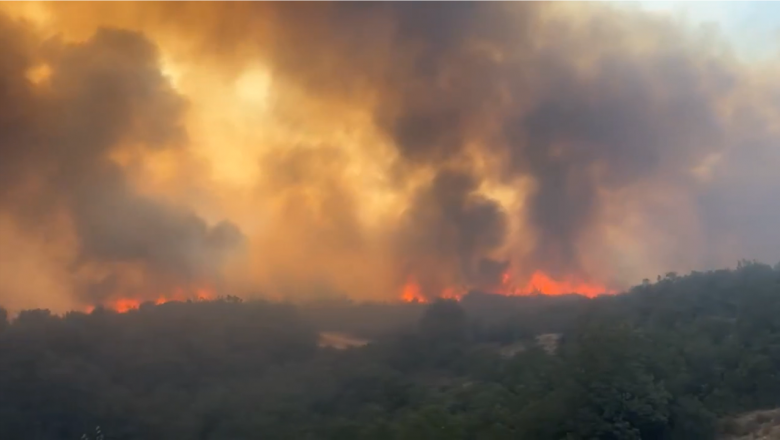  Karabük ve Bursa’da orman yangınları: Ekipler müdahale ediyor