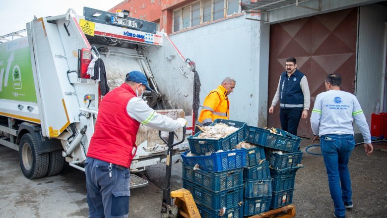  Seyhan Belediyesi Zabıtası, İnsan Sağlığına Yönelik Tehditlere Göz Yummuyor