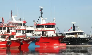 Balıkçılar sezonu hayal kırıklığıyla kapattı